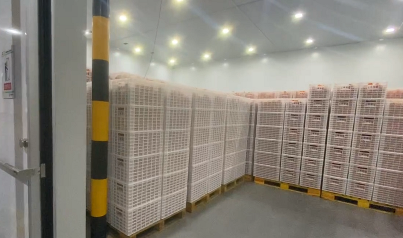 1717465746928854.png 微信圖片_20240603163725.png